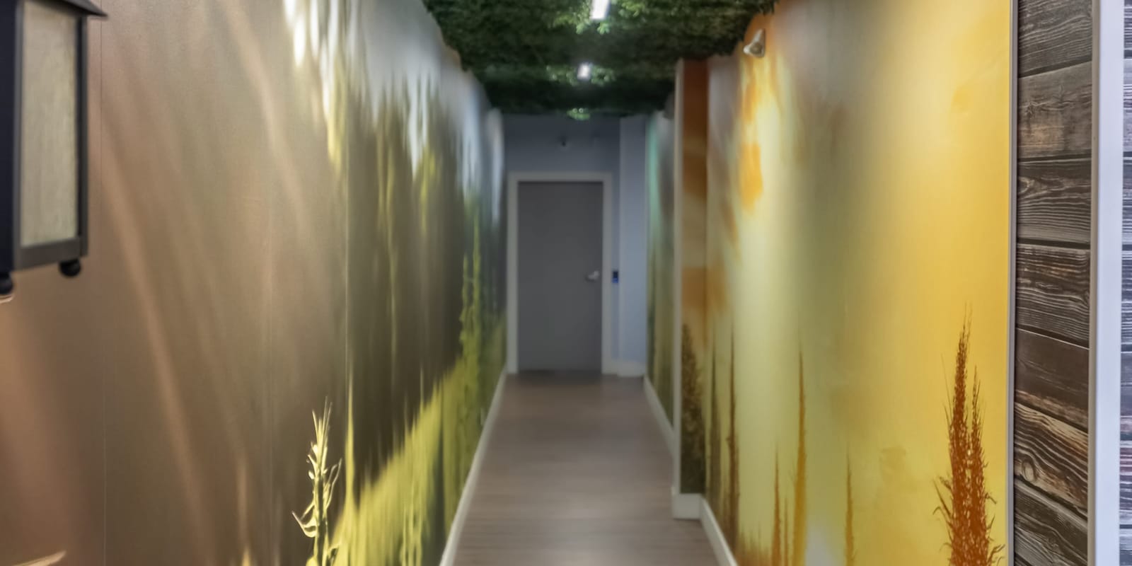 The entry hallway at Farmers Choice Fishkill, its walls printed with a golden field of cannabis plants at sunset, a lantern on the left