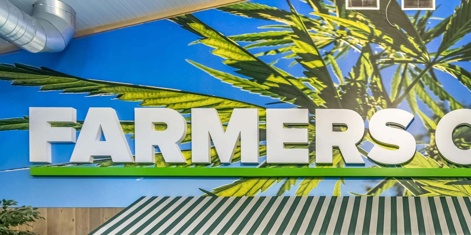 The Farmers Choice mural over the counter in the New Paltz barn, the store's name in tall white letters on a painted sky above a green striped awning