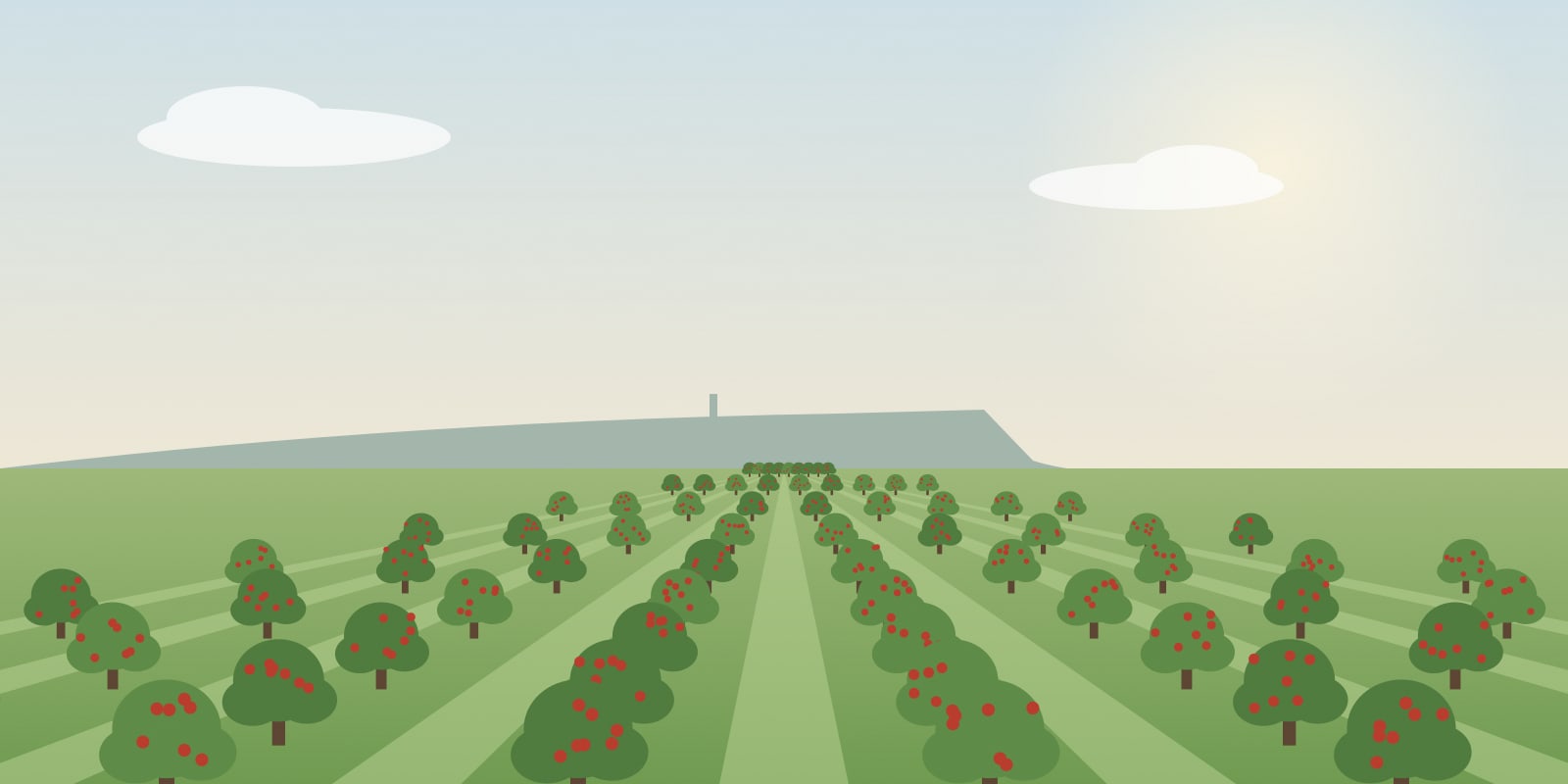 Illustration of apple orchard rows heavy with red fruit stretching toward a distant ridge under a pale afternoon sky